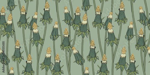Pattern with unopened dandelion. Dried flowers vintage illustration