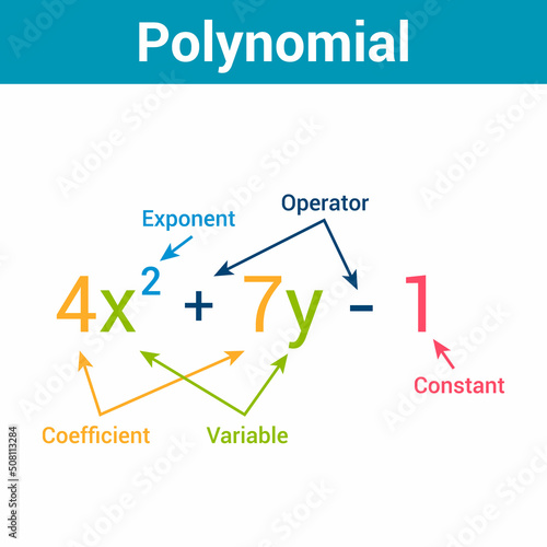 parts of polynomial algebraic expressions