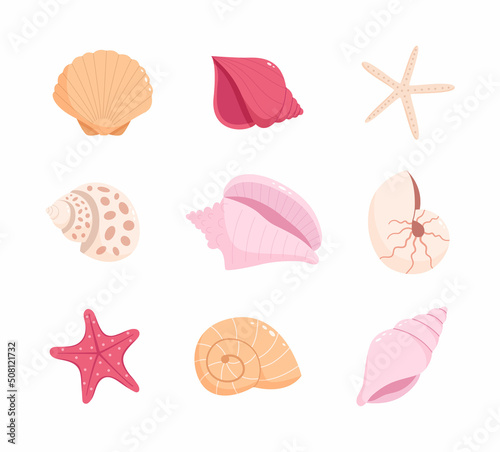 Set of sea shells and starfishes
