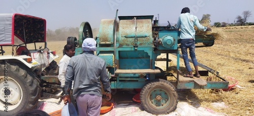 After harvesting wheat crop workers separating wheat grains in thresher machine