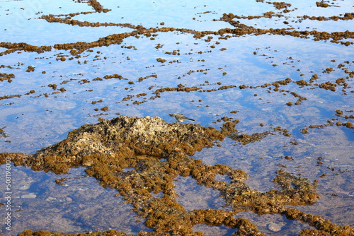 Shallow pools on the coastline formed by ridges on the rocks at Witsand, Western Cape, South Africa.