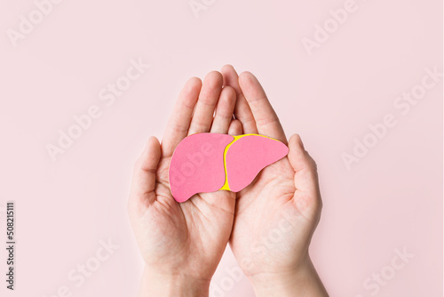 World hepatitis day. Adult hands holding donation liver on pink background. Awareness of prevention and treatment viral hepatitis. Liver cancer. World cancer day. copy space. banner