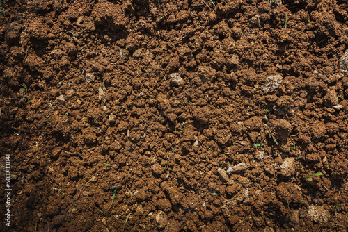 Textured fertile soil for cultivation as background. The potting soil or peat is suitable for gardening and is one of the four natural elements. Land is life for our planet earth. Gardening season.