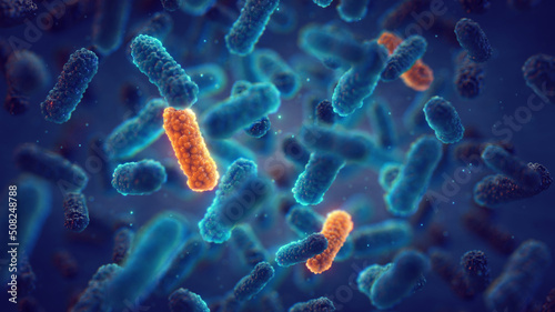 Antimicrobial Resistance (AMR) occurs when bacteria change over time and no longer respond to medicines. Genetic mutation in bacteria can lead to antibiotic resistance