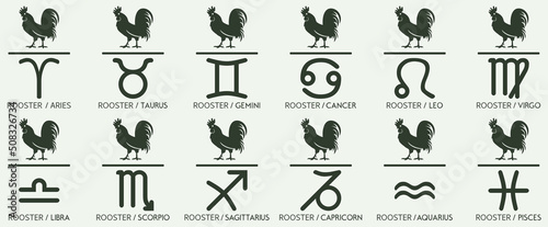 Vector Year of the rooster chicken Animal icons eastern annual horoscope and zodiac signs in one symbol 2029 2041 2053 2065 years