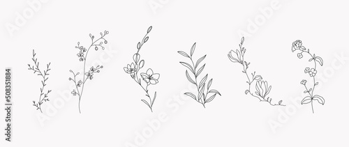 minimal botanical graphic sketch line art drawing, trendy tiny tattoo design, floral elements vector illustration