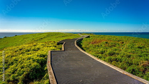 Walking track on top of the Muttonbird Island Nature Reserve in Coffs Harbour, NSW, Australia 