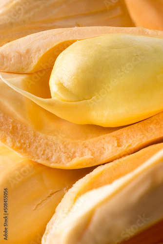 closeup of jackfruit flesh with seeds, tropical health beneficial fruit native to southeast asia, taken in shallow depth of field, macro 