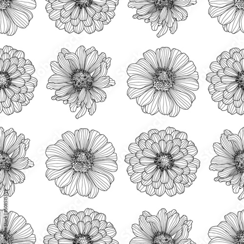 Regular seamless pattern from Zinnia flower heads drawings in black outline on a white background. Decorative print for wallpaper, wrapping, textile, fashion fabric or other printable covers.