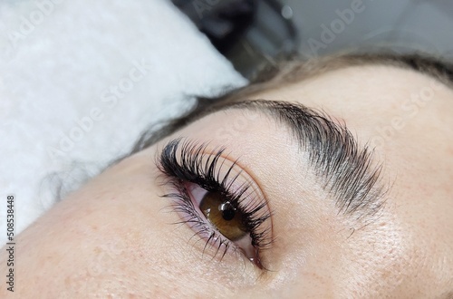 Eyelash extensions in beauty salon macro eye 