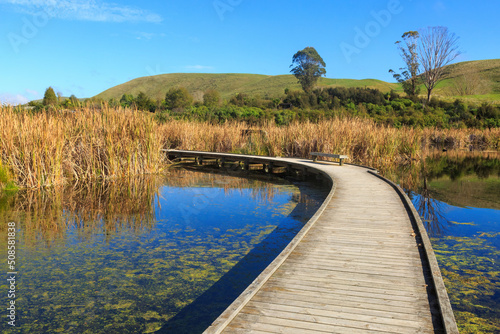 A curving boardwalk over the water in Pekapeka Regional Park, a wetland in the Hawke's Bay region, New Zealand
