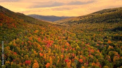 Fall in Maine