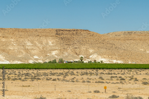 Oasis of green in the Negev Desert. large vineyard in the desert in Israel 