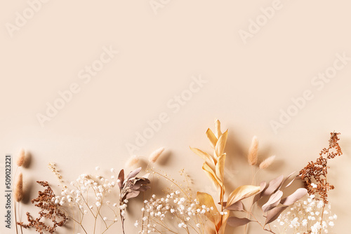 Dry natural grass, leaves and flowers beauty and fashion concept mock up