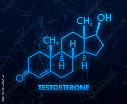 Testosterone formula. Vector thin line icon of testosterone molecular structure
