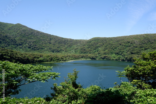 三宅島（Miyake Island） 大路池（Tairo-ike） 