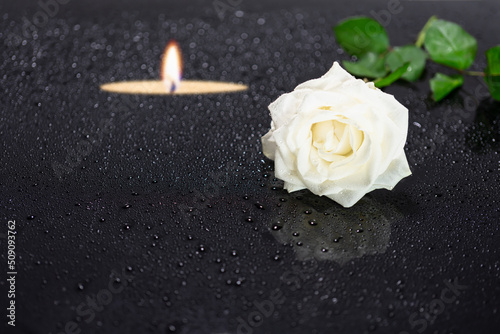 close-up of a white rose flower blossom with blurred candlelight on black background with symbolic teardrops, concept for condolence card, funeral, mourning, thanks with copy space