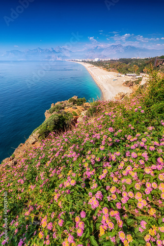 Flowers blooming with famous Konyaalti beach in the background. Travel destinations of Turkey and Antalya and mediterranean riviera at springtime season