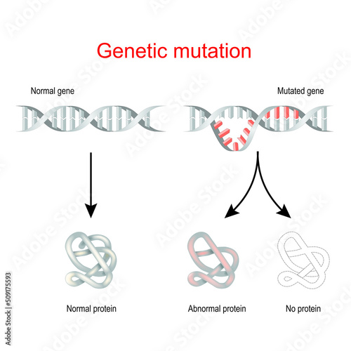 Genetic mutation. Normal gene and Mutated DNA.