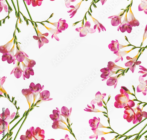 Flowers frame with purple flower petals and green curved stems at white background. Floral backdrop with circle shaped copy space. Top view.