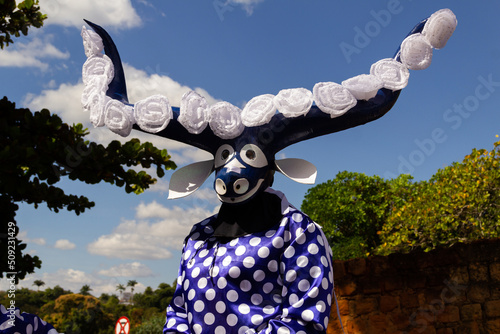 Um mascarado, personagem da festa chamada Cavalhadas. Uma festa brasileira de cunho religioso .