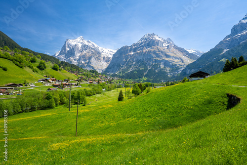 alpine meadow with Alps mountains in Grindelwald village in Switzerland