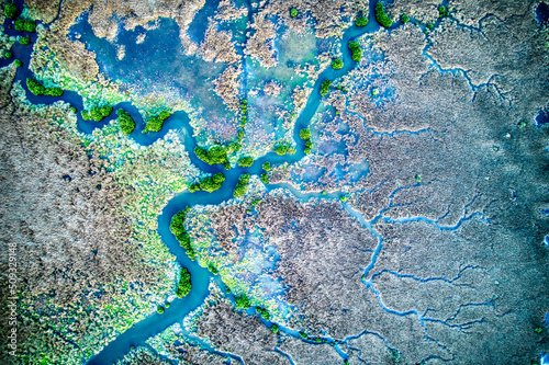 Drone view of different vegetation types and water in Lake Connewarre near Barwon Heads, Victoria, Australia.