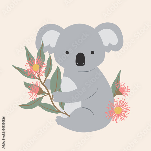 Native Exotic Australian Animals Isolated with Eucalyptus Floral Blossom Gum Leaves Koala Bear