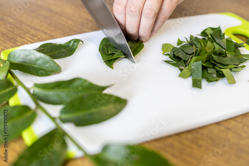 Female hands chopping ora-pro-nobis on cutting board. Pereskia aculeata is a popular vegetable in parts of Brazil