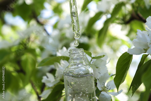 The transparent glass bottle container and dropper with a drop of skincare serum among the beautiful white flowers