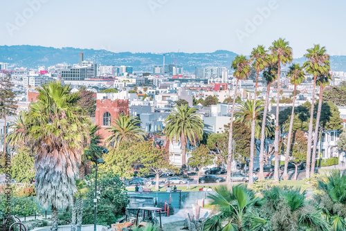 Dolores Park, San Francisco, California. color landscape photo of park with palm trees in foreground and san francisco skyline in background