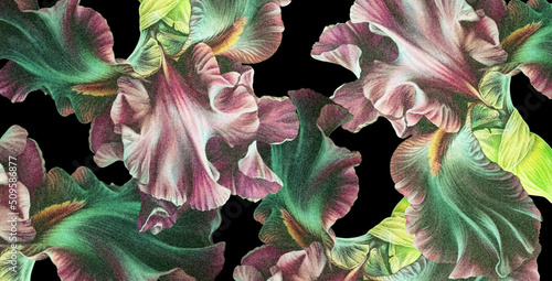 Tekstura z motywem kwiatów irysa w odcieniach zieleni, różu i żółci na czarnym tle. Grafika cyfrowa przeznaczona do druku na tkaninie, papierze, płytkach ceramicznych oraz jako fototapeta, obraz.
