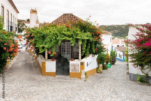 White houses with terracotta roof tiles in tourist village Obidos