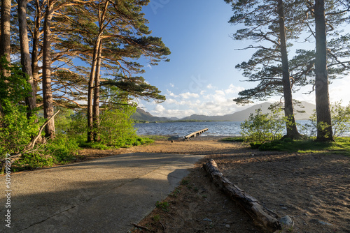 une plage au bord d'un lac avec un ponton et un arbre couché