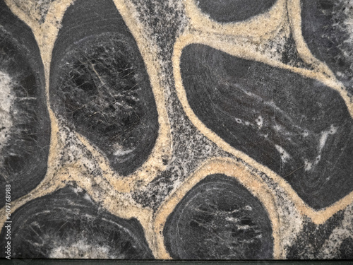 Orbicular diorite granite stone detail