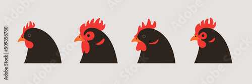Cute chicken. Contour illustration of domestic fowl. Different type of chicken head. Vector print for prints, clothing, logo.