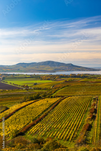 Vineyards under Palava, Southern Moravia, Czech Republic