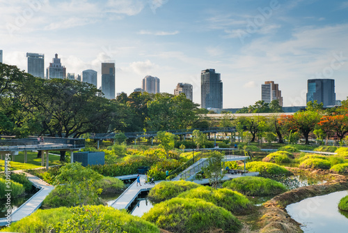 Beautiful forest park with blue sky in city.