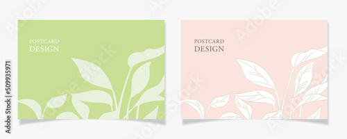 観葉植物をあしらったポストカードデザインC