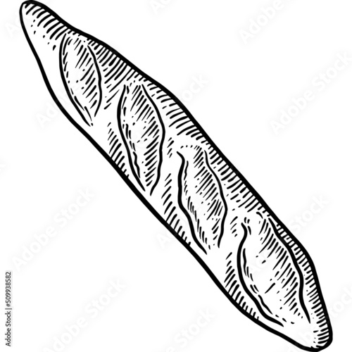 Hand drawn French Baguette