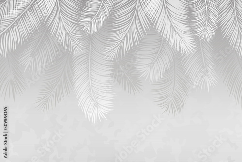 Illustration of palm leaves. Image for photo wallpapers. Vector illustration