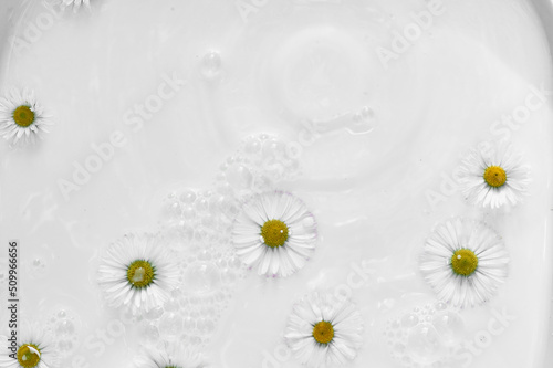 Chamomile in milk water. Herbal treatment and baths. Care and nurturing. Soothing, anti-inflammatory. Abstract background