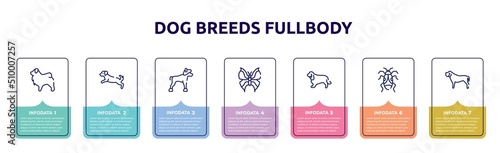 dog breeds fullbody concept infographic design template. included tibetan mastiff, dog scaping, chinese crested, leaf butterfly, english cocker spaniel, null, mastiff icons and 7 option or steps.