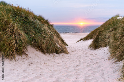 Dunes on the beach during sunset in Denmark