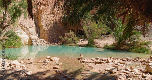 Chebika mountain oasis. Tozeur Governorate.