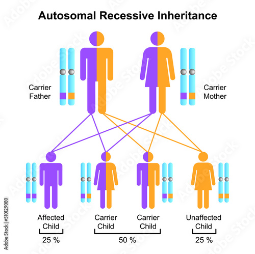 Scientific Designing of Autosomal Recessive Inheritance. Colorful Symbols. Vector Illustration.