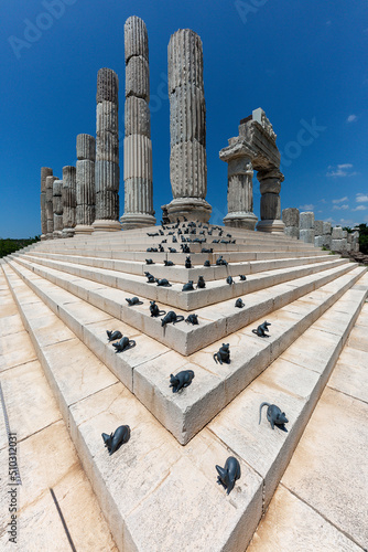 Ruins of the sanctuary of Apollon Smintheus in Ayvacik, Turkey, coming from the word sminthos meaning mice as Apollo killed mice damaging the fields.