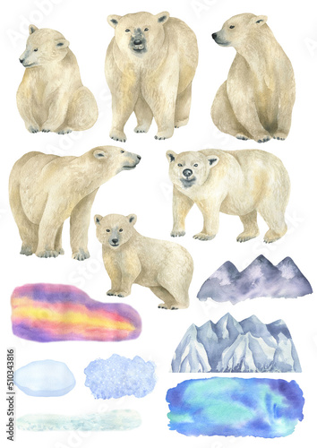 Set of polar bears
