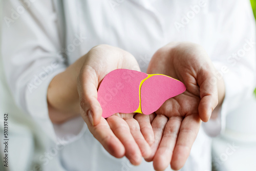 World hepatitis day. Doctor woman holding in her hands donation liver on pink background. Awareness of prevention and treatment viral hepatitis. Liver cancer. World cancer day.