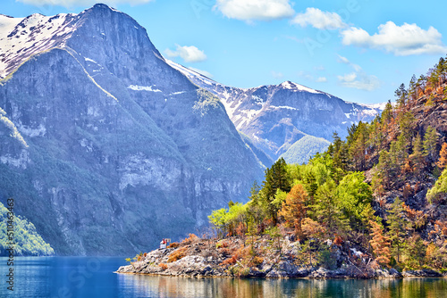 Sognefjord landscape with mountains, snow, forest, Norway